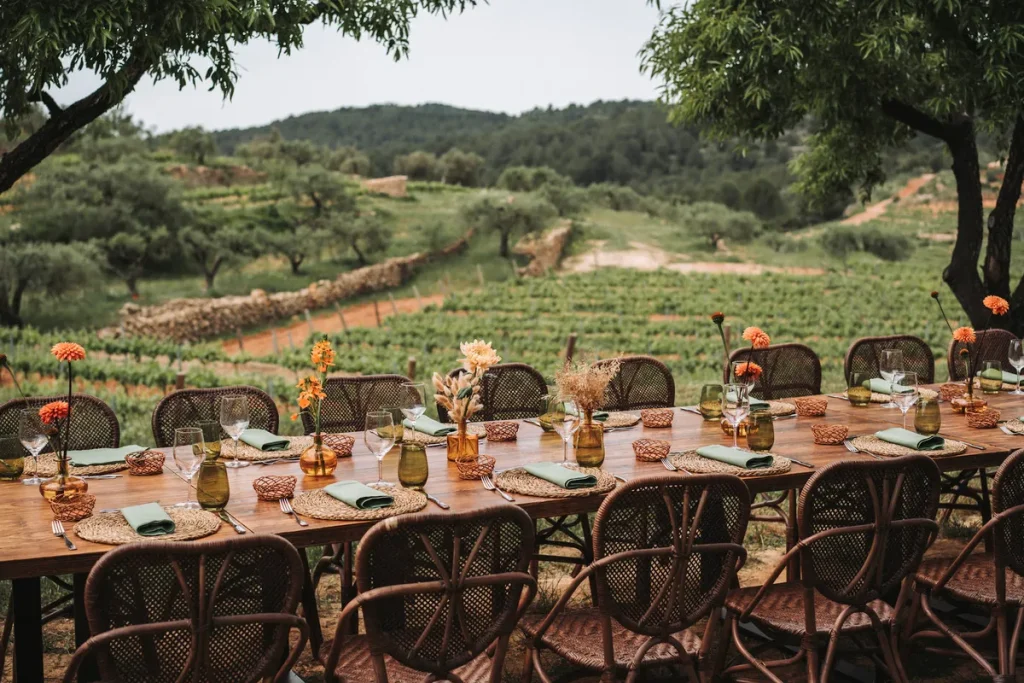 masia pine vineyard background