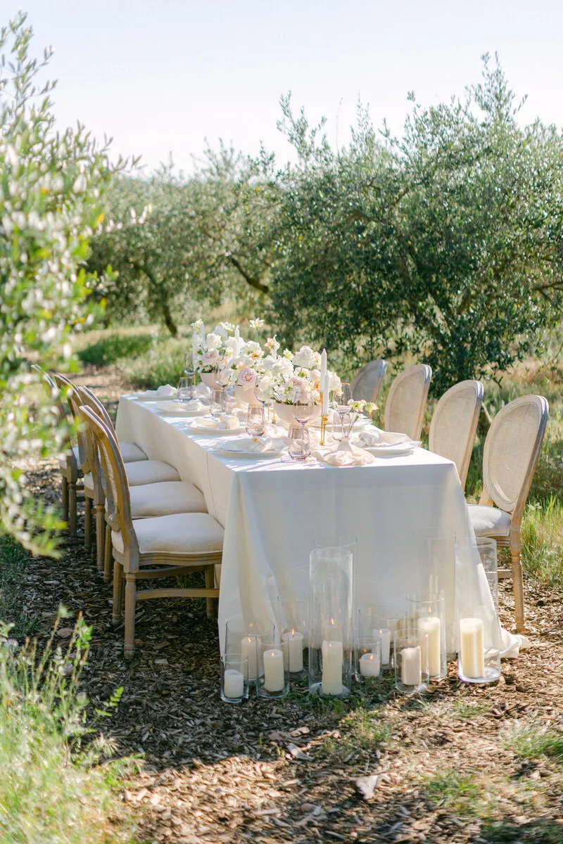 rustic villa intimate wedding table around olive trees