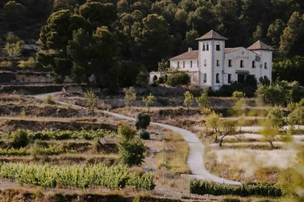 Finca Seguro natural surroundings